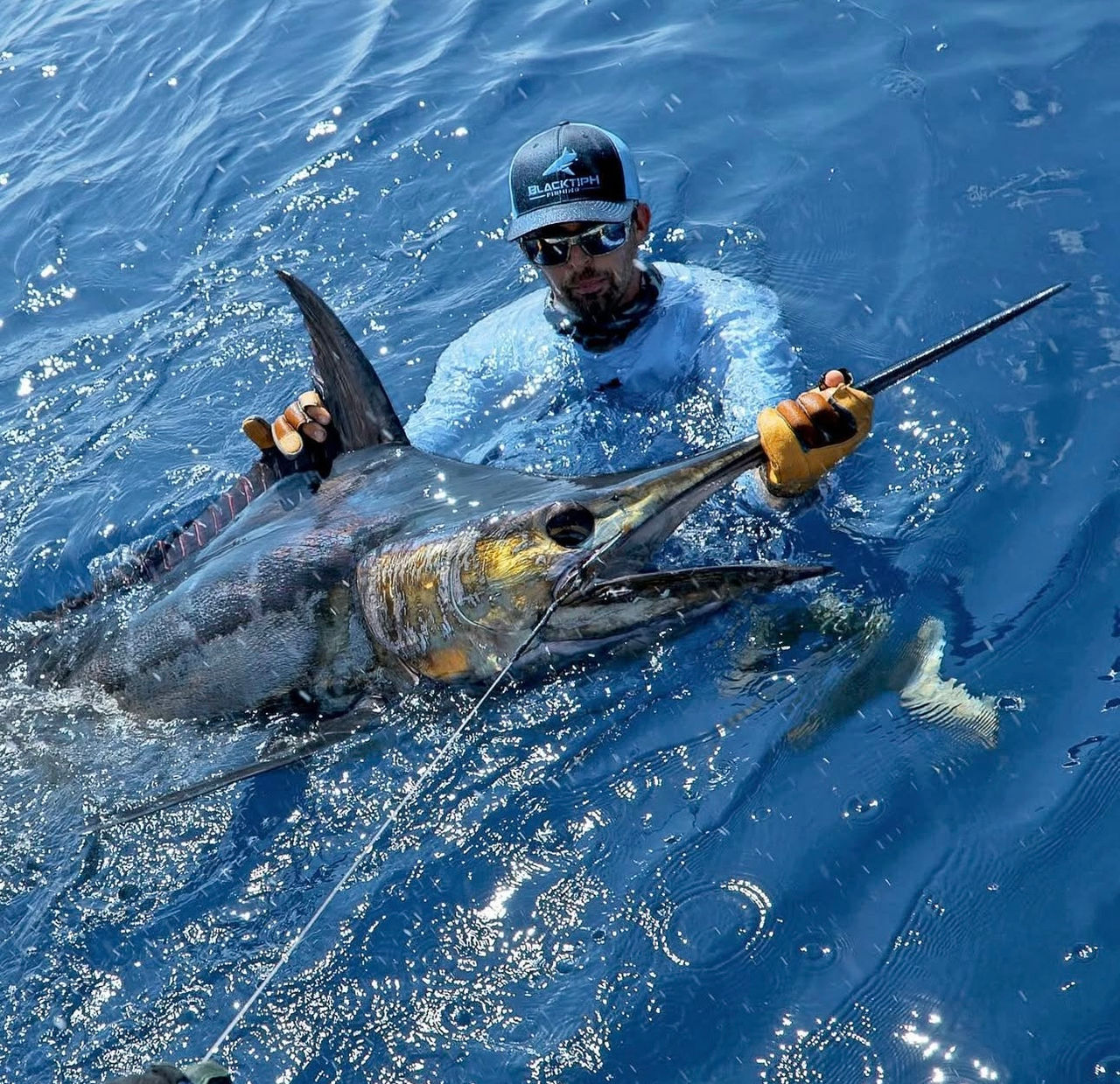 BlacktipH Fishing